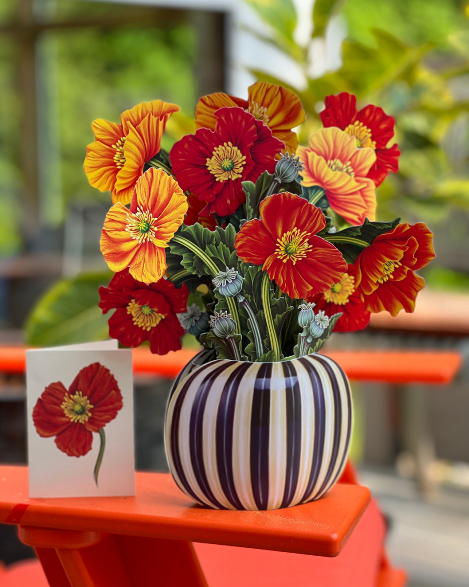 French Poppies (8 Pop - up Greeting Cards) - Pages & Parcels