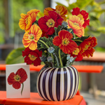 French Poppies (8 Pop - up Greeting Cards) - Pages & Parcels