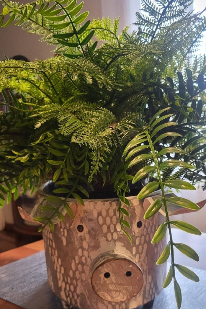 Potted fern plant in a decorative pot on a table