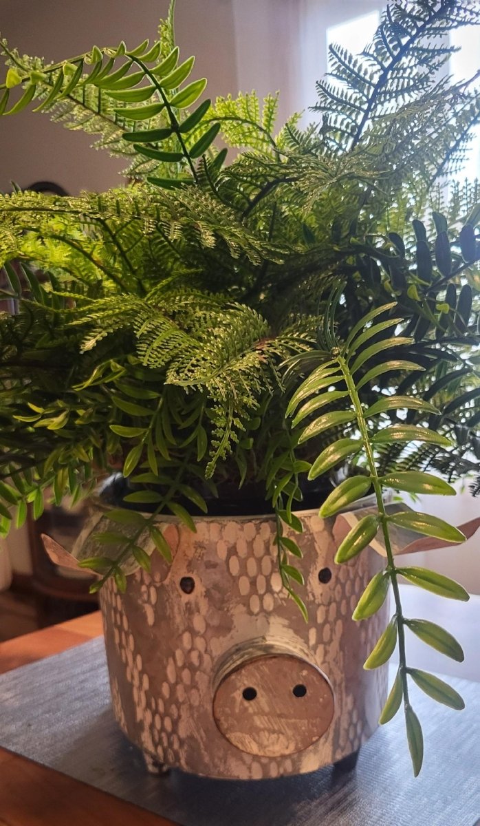 Potted fern plant in a decorative pot on a table
