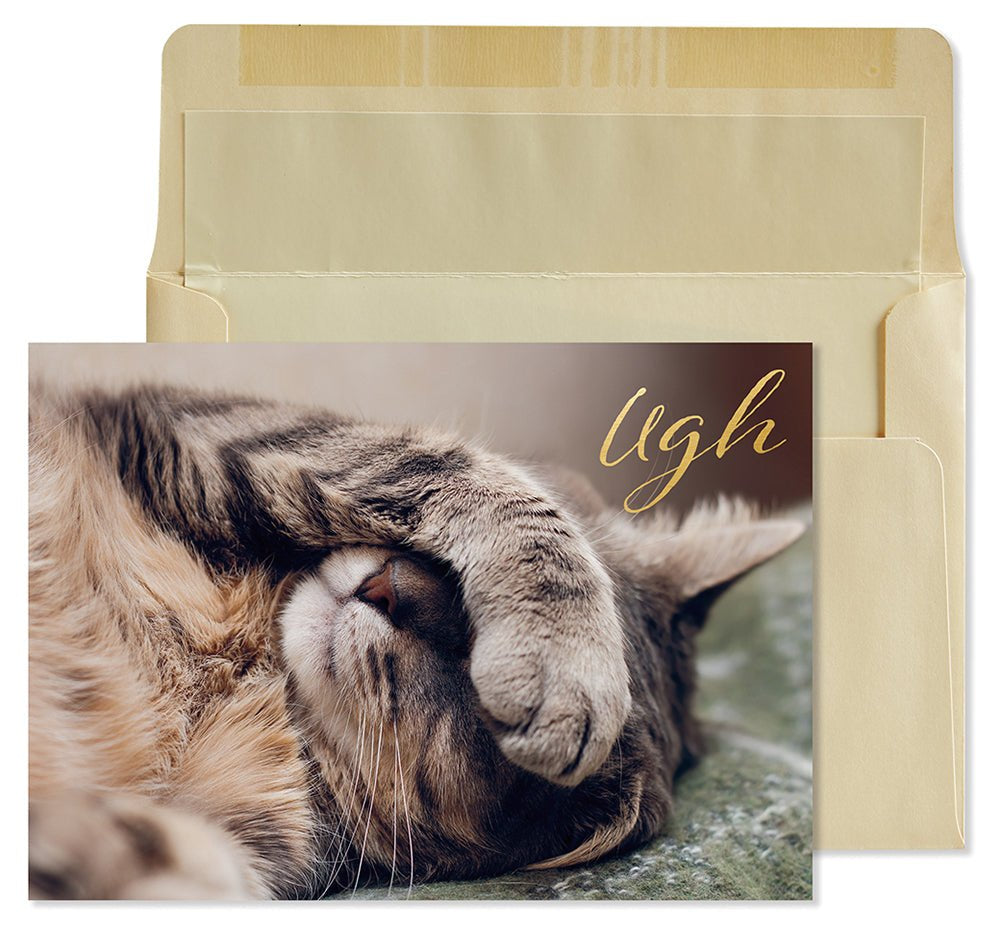 Get Well Cards (NIQUEA.D) - Pages & Parcels