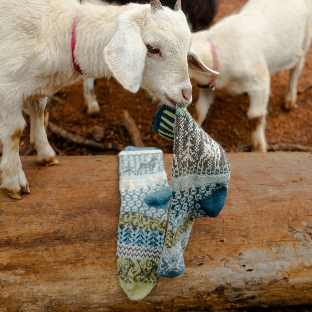 Goat Crew Sock | Socks That Give Back to National Parks - Pages & Parcels