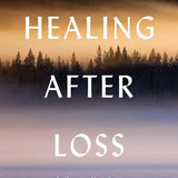 Healing After Loss: Daily Meditations For Working Through Grief cover image