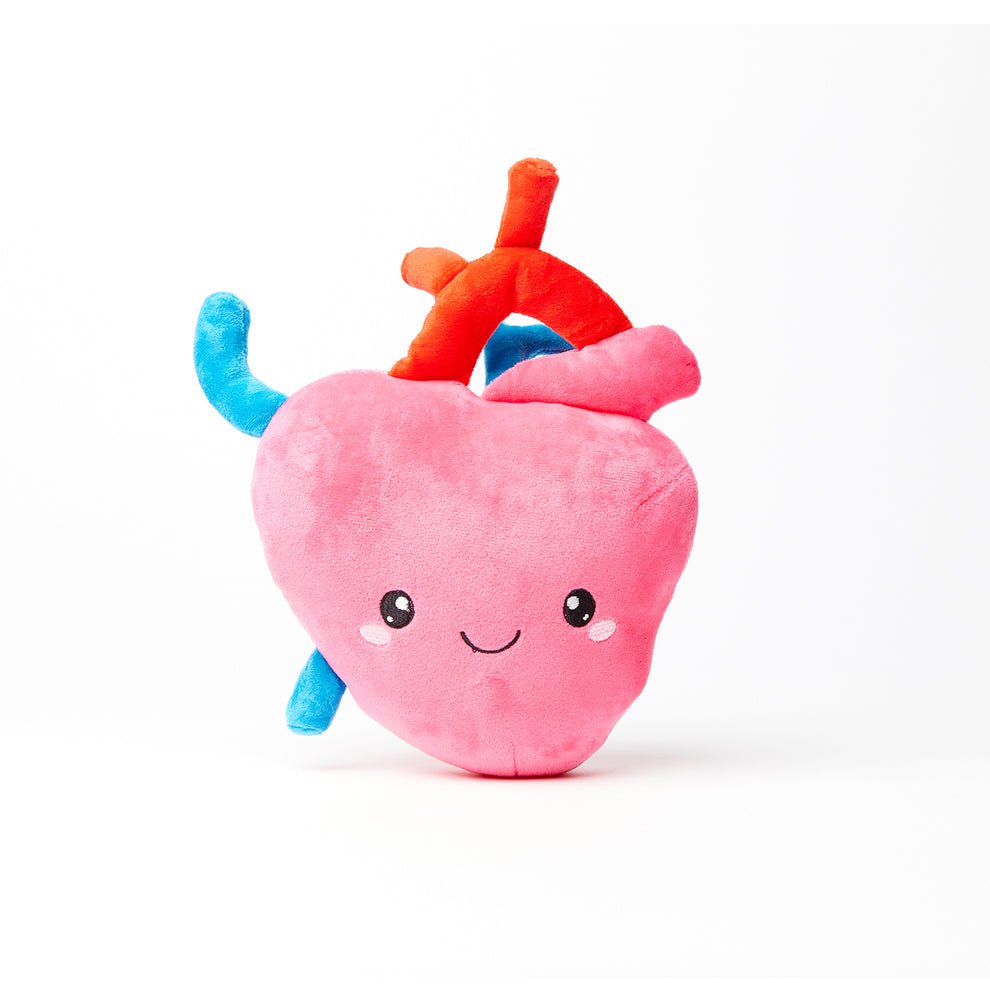 Heart Plush Organ - Pages & Parcels
