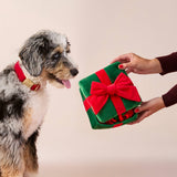 Holiday Present Interactive Snuffle Dog Toy - Pages & Parcels