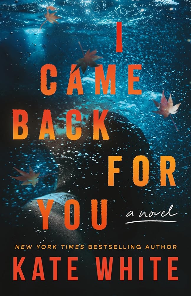 I Came Back for You: A Novel cover image