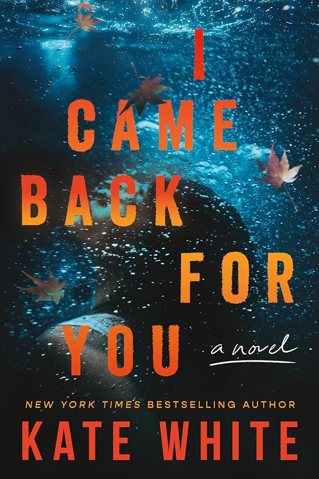 I Came Back for You: A Novel cover image