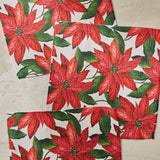 Lauri Dishcloth Set - Holiday 2026 - Pages & Parcels