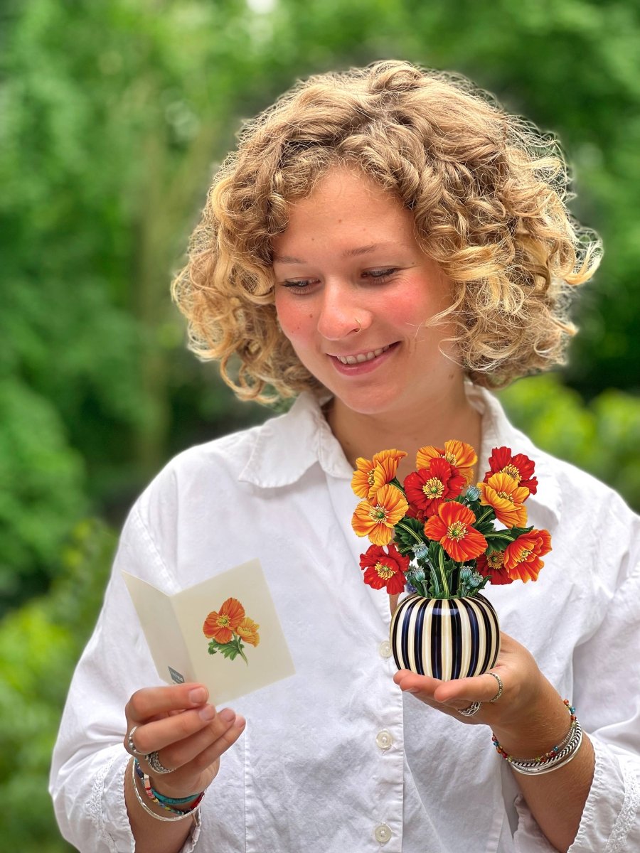 Mini French Poppies (10 Pop - up Greeting Cards) - Pages & Parcels