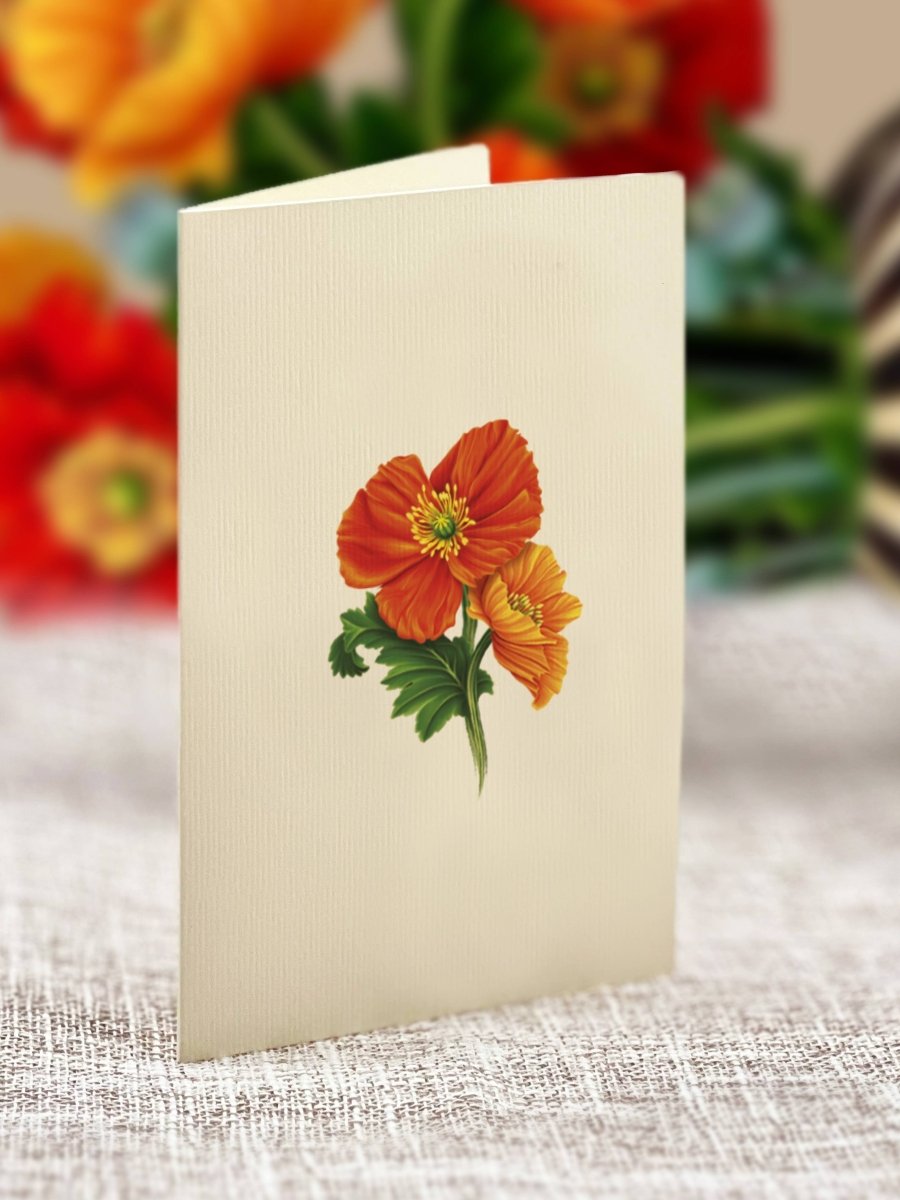 Mini French Poppies (10 Pop - up Greeting Cards) - Pages & Parcels
