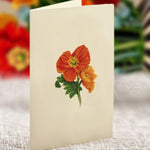 Mini French Poppies (10 Pop - up Greeting Cards) - Pages & Parcels