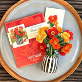Mini French Poppies (10 Pop - up Greeting Cards) - Pages & Parcels