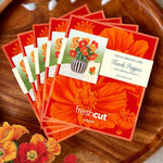 Mini French Poppies (10 Pop - up Greeting Cards) - Pages & Parcels