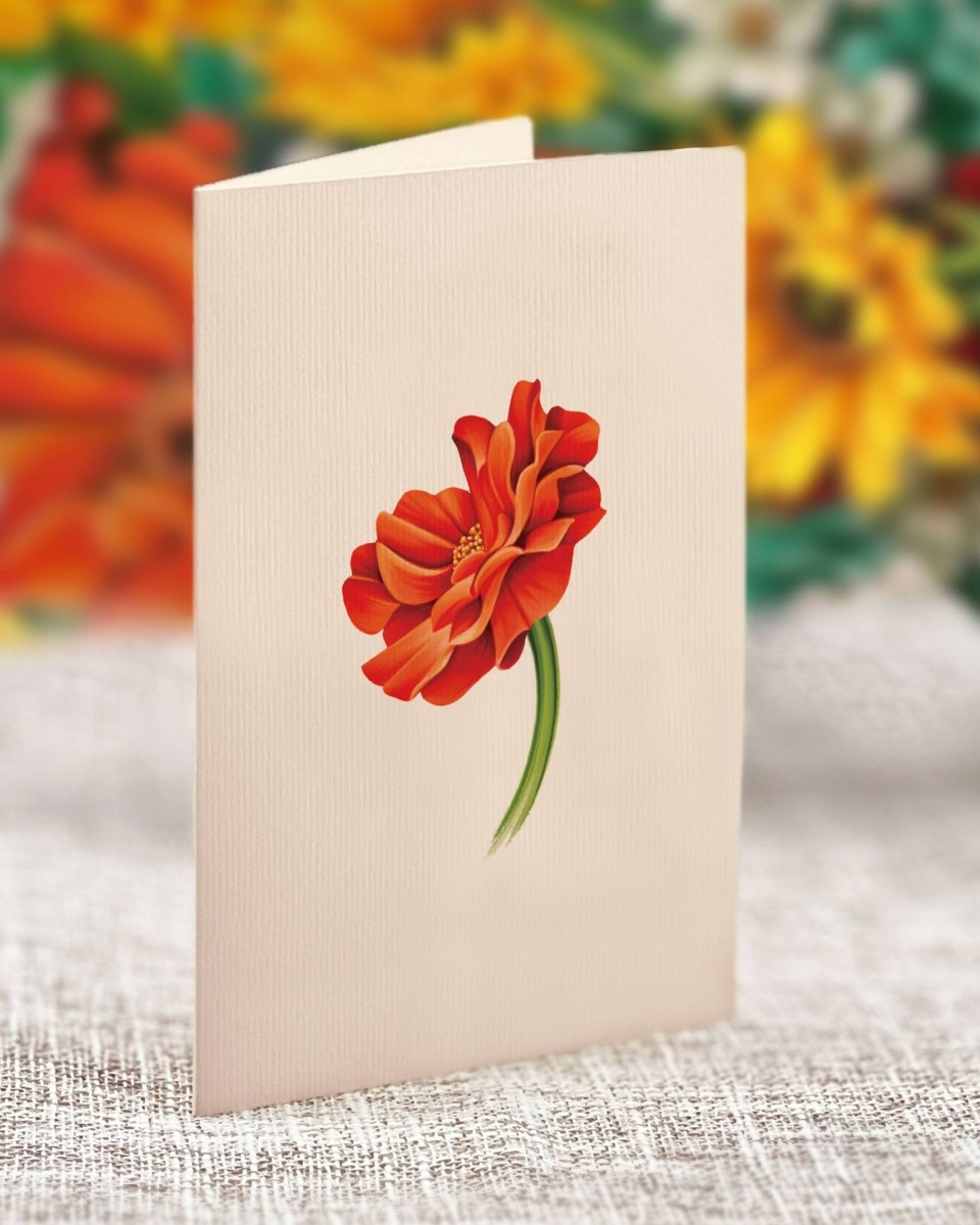 Mini Pumpkin Harvest (10 Pop - up Greeting Cards) - Pages & Parcels