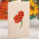 Mini Pumpkin Harvest (10 Pop - up Greeting Cards) - Pages & Parcels