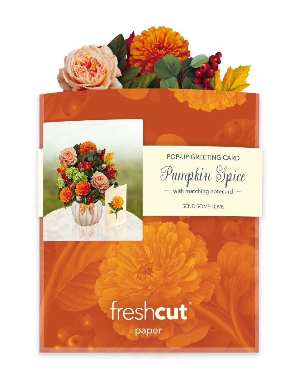 Mini Pumpkin Spice (10 Pop - up Greeting Cards) - Pages & Parcels