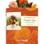 Mini Pumpkin Spice (10 Pop - up Greeting Cards) - Pages & Parcels