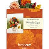 Mini Pumpkin Spice (10 Pop - up Greeting Cards) - Pages & Parcels