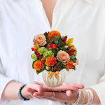 Mini Pumpkin Spice (10 Pop - up Greeting Cards) - Pages & Parcels