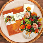 Mini Pumpkin Spice (10 Pop - up Greeting Cards) - Pages & Parcels