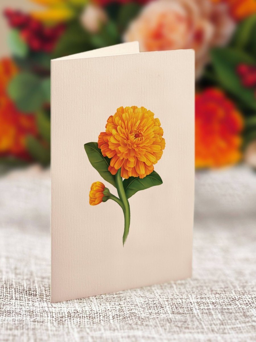 Mini Pumpkin Spice (10 Pop - up Greeting Cards) - Pages & Parcels