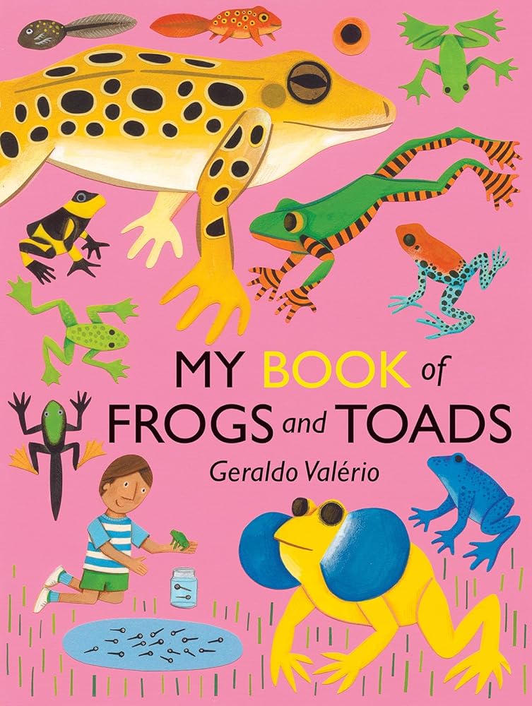 My Book of Frogs and Toads (Big Books for Little Naturalists, 3) cover image