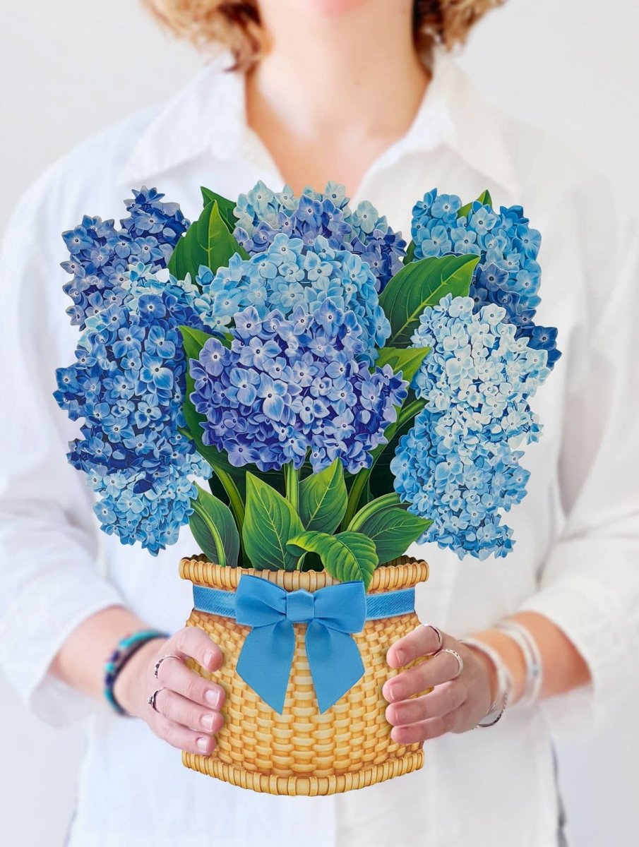 Nantucket Hydrangeas (8 Pop - up Greeting Cards) - Pages & Parcels