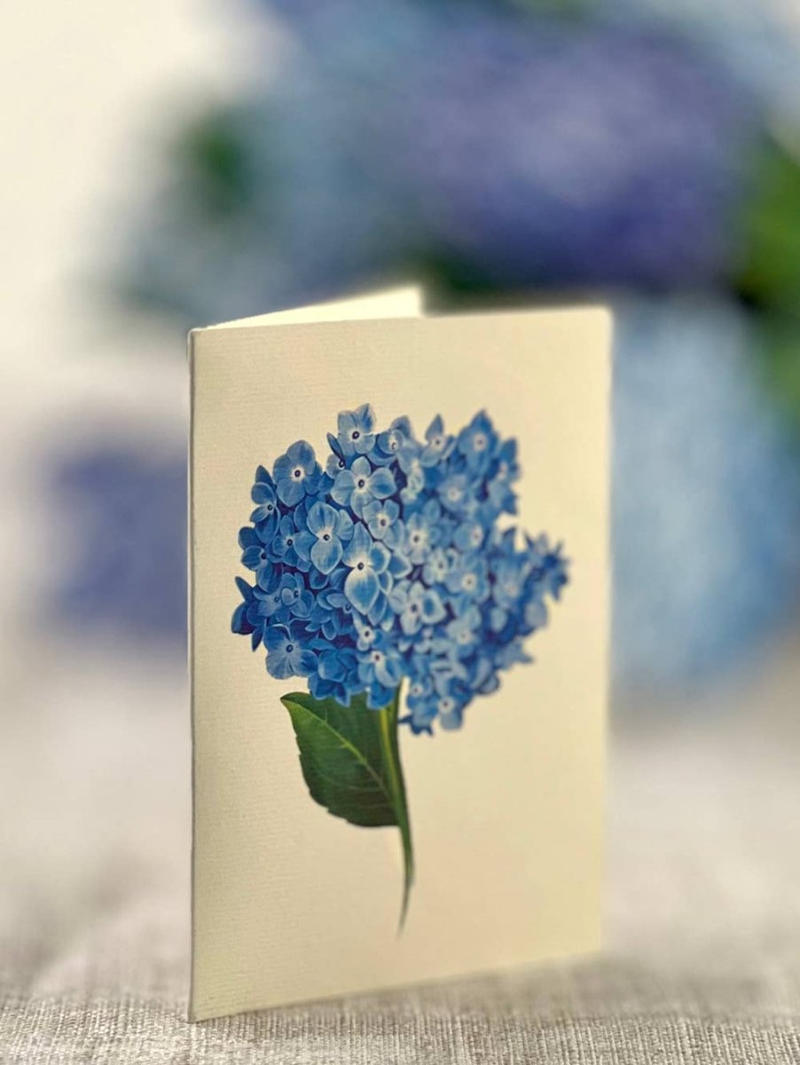 Nantucket Hydrangeas (8 Pop - up Greeting Cards) - Pages & Parcels