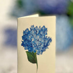 Nantucket Hydrangeas (8 Pop - up Greeting Cards) - Pages & Parcels
