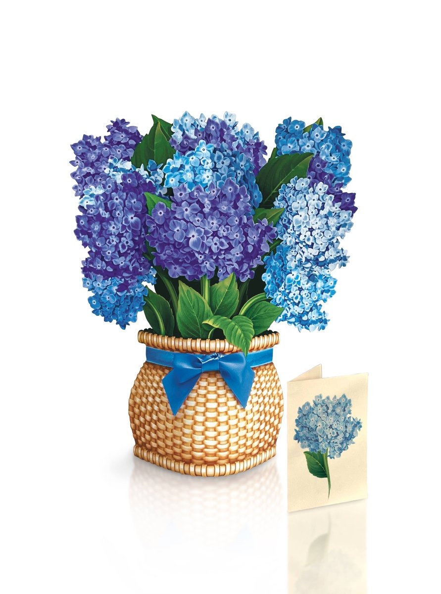Nantucket Hydrangeas (8 Pop - up Greeting Cards) - Pages & Parcels