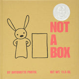 Not a Box cover image