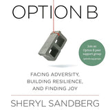 Option B: Facing Adversity, Building Resilience, and Finding Joy cover image