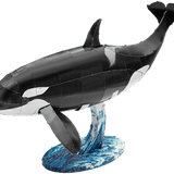Orca steel model kit