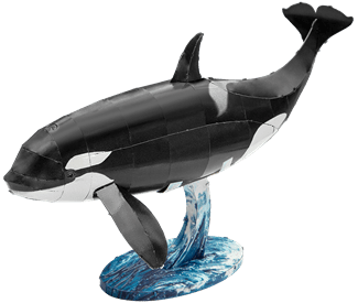 Orca steel model kit