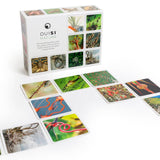 OuiSi Nature: Games of Visual Connection - Pages & Parcels