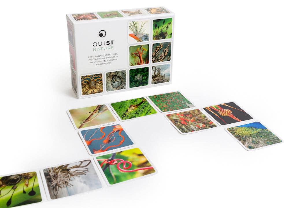 OuiSi Nature: Games of Visual Connection - Pages & Parcels