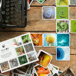 OuiSi Nature: Games of Visual Connection - Pages & Parcels