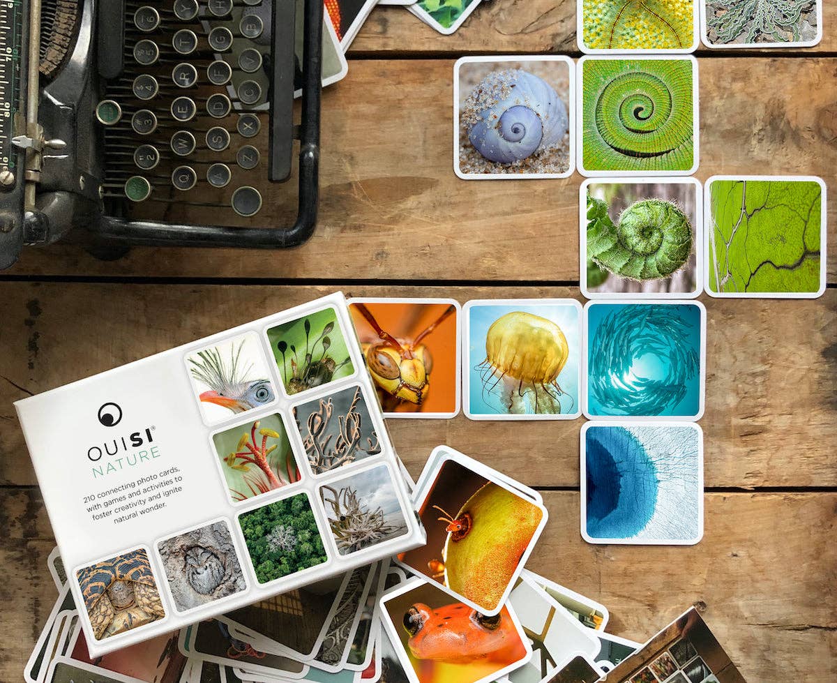 OuiSi Nature: Games of Visual Connection - Pages & Parcels