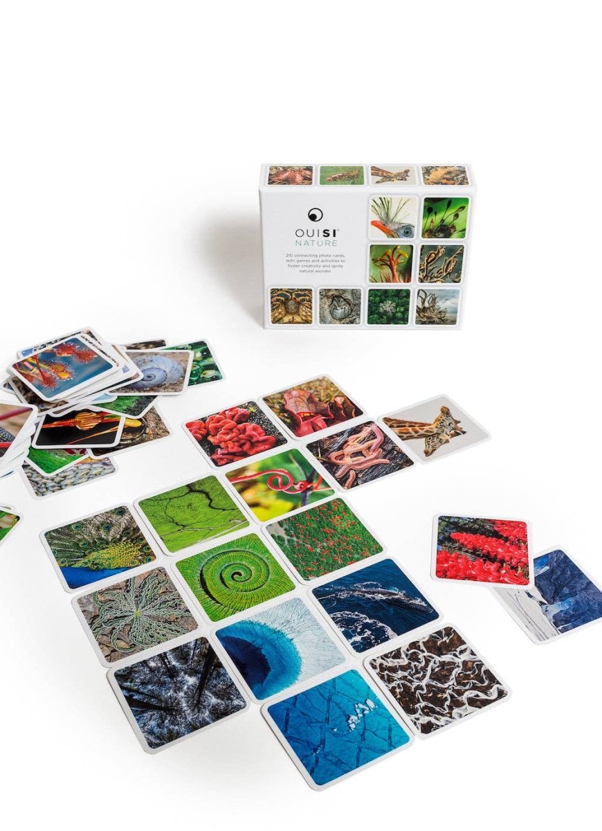 OuiSi Nature: Games of Visual Connection - Pages & Parcels