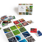 OuiSi Nature: Games of Visual Connection - Pages & Parcels