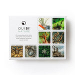 OuiSi Nature: Games of Visual Connection - Pages & Parcels