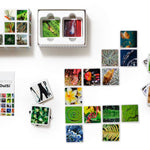 OuiSi Nature: Games of Visual Connection - Pages & Parcels