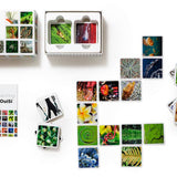 OuiSi Nature: Games of Visual Connection - Pages & Parcels