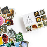 OuiSi Original: Games of Visual Connection - Pages & Parcels