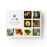 OuiSi Original: Games of Visual Connection - Pages & Parcels
