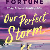 Our Perfect Storm cover image