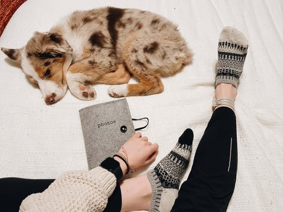 Pepper Ankle Socks | Sustainable USA Made No - Show Sock  - Pages & Parcels