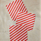 Peppermint Lane Dishcloth Set - Holiday 2026 - Pages & Parcels