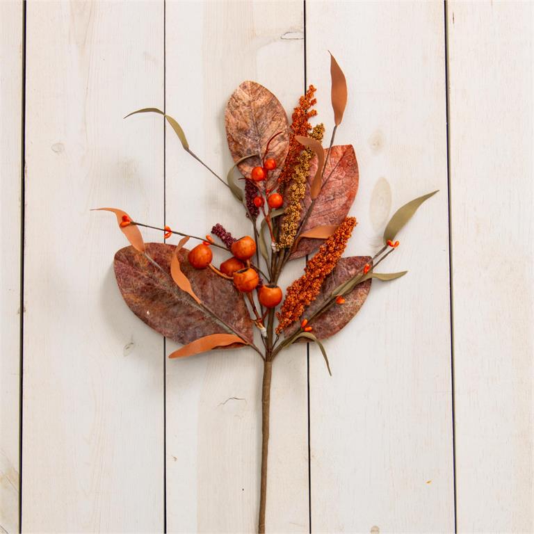 Pick - Pods, Leaves, Fall Foilage - Pages & Parcels