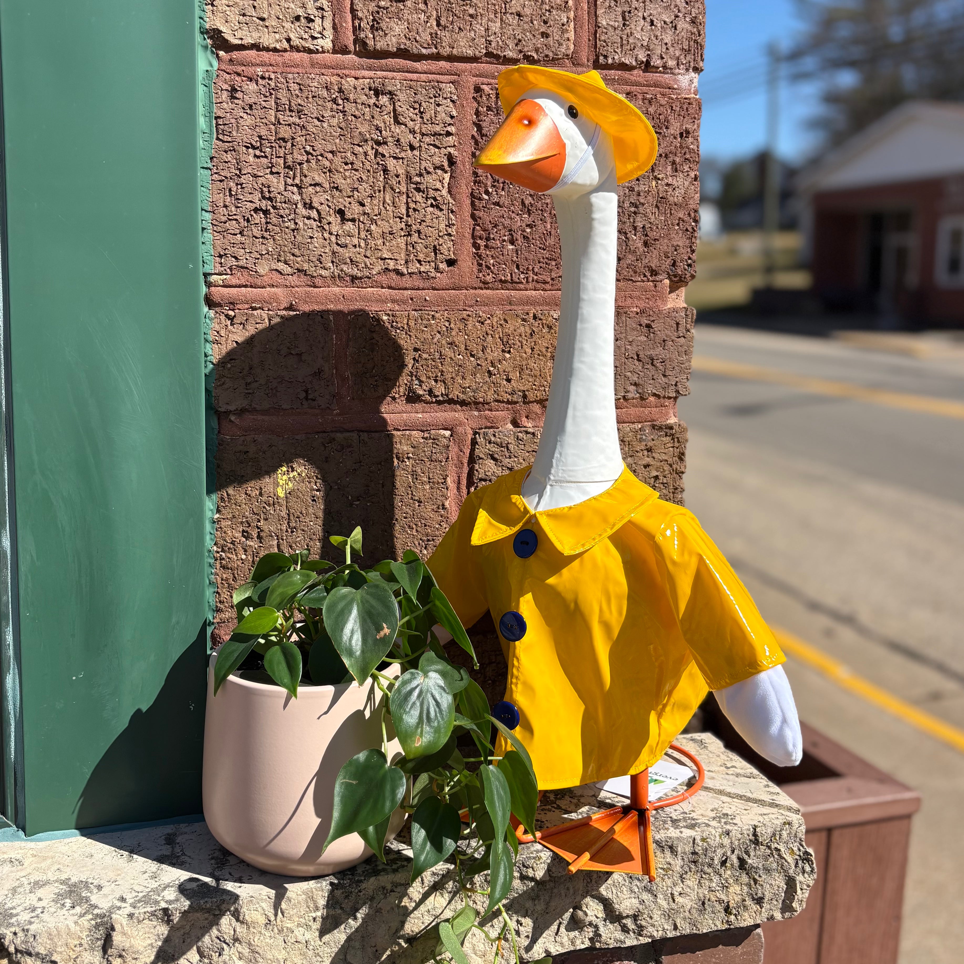 Porch goose in a raincoat outfit